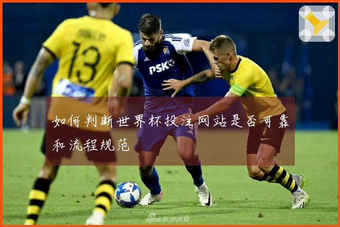 如何判断世界杯投注网站是否可靠和流程规范