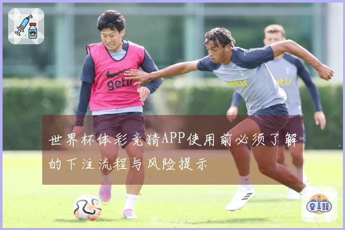 世界杯体彩竞猜APP使用前必须了解的下注流程与风险提示