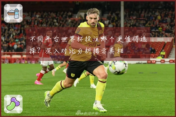 不同平台世界杯投注哪个更值得选择？深入对比分析揭示真相