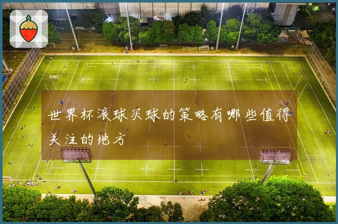 世界杯滚球买球的策略有哪些值得关注的地方
