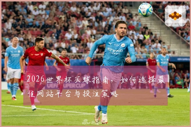 2026世界杯买球指南，如何选择最佳网站平台与投注策略