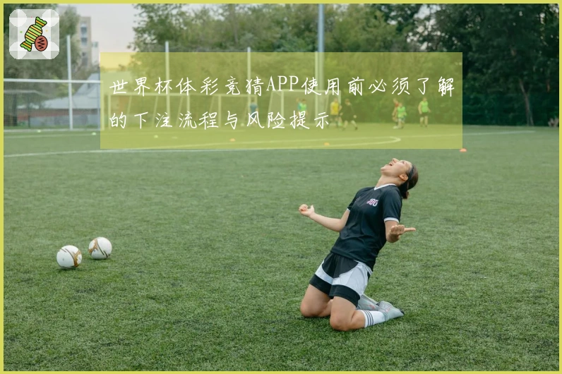 世界杯体彩竞猜APP使用前必须了解的下注流程与风险提示