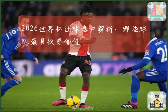 2026世界杯让球盘口解析，哪些球队最具投资价值