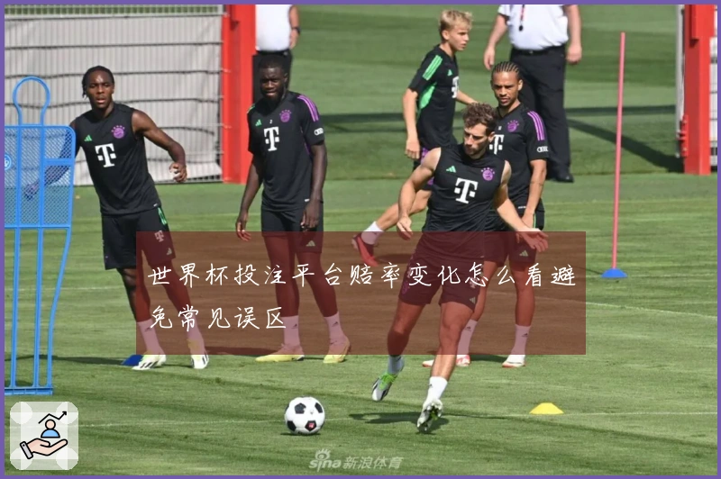 世界杯投注平台赔率变化怎么看避免常见误区