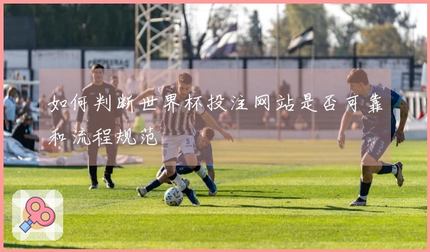 如何判断世界杯投注网站是否可靠和流程规范