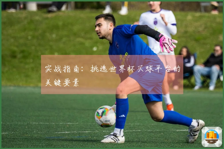 实战指南：挑选世界杯买球平台的关键要素