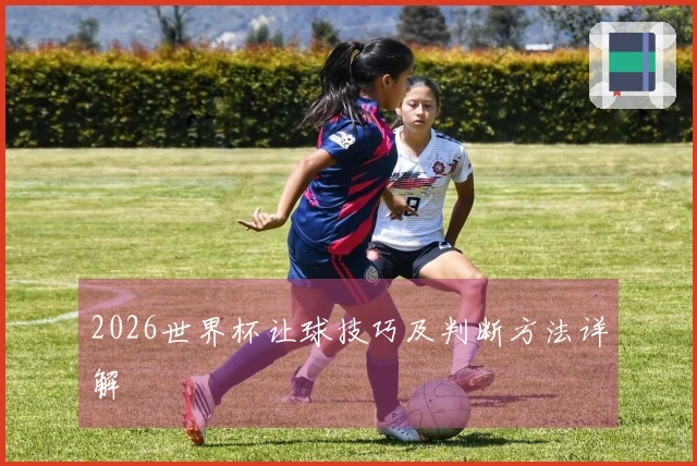 2026世界杯让球技巧及判断方法详解