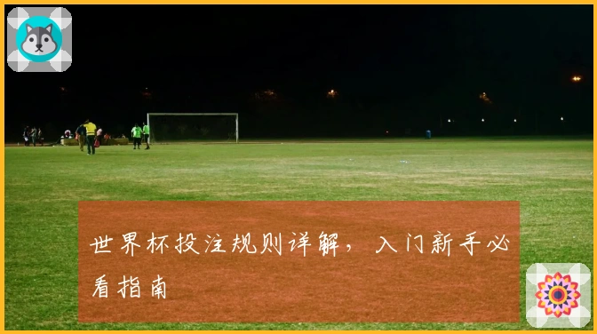 世界杯投注规则详解，入门新手必看指南